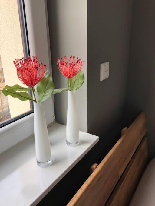Apartment Pyramideneiche Detmold/berlebeck, Naturnah Detmold